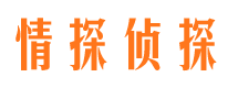 中宁侦探